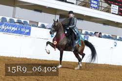 15R9_06402 thumbnail