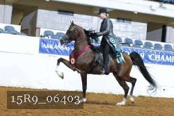 15R9_06403 thumbnail