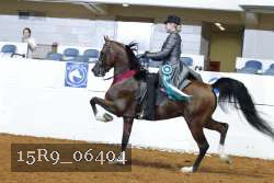 15R9_06404 thumbnail