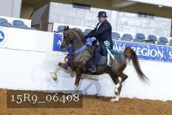 15R9_06408 thumbnail