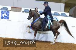 15R9_06410 thumbnail