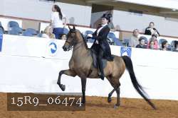 15R9_06474 thumbnail