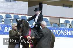 15R9_06537 thumbnail