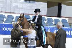 15R9_06546 thumbnail