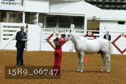 15R9_06747 thumbnail