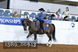 15R9_06943 thumbnail