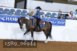 15R9_06944 thumbnail