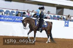 15R9_06945 thumbnail