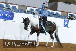 15R9_06970 thumbnail