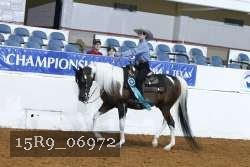 15R9_06972 thumbnail