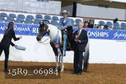 15R9_06984 thumbnail