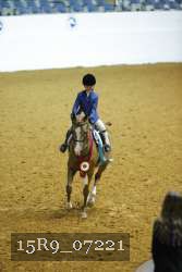 15R9_07221 thumbnail