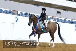 15R9_07236 thumbnail