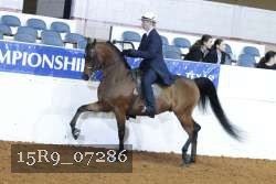 15R9_07286 thumbnail
