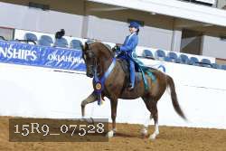 15R9_07528 thumbnail