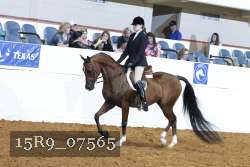 15R9_07565 thumbnail