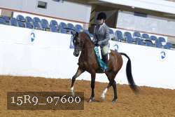 15R9_07600 thumbnail