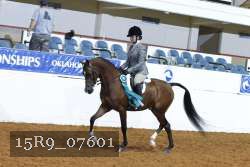 15R9_07601 thumbnail