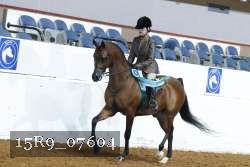 15R9_07604 thumbnail