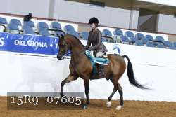 15R9_07605 thumbnail