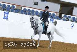 15R9_07608 thumbnail