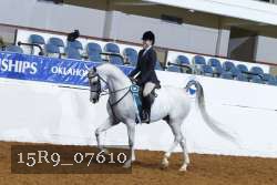 15R9_07610 thumbnail