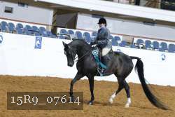 15R9_07614 thumbnail