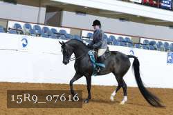 15R9_07616 thumbnail
