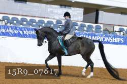 15R9_07617 thumbnail
