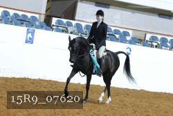 15R9_07620 thumbnail