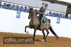 15R9_07988 thumbnail