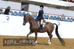 15R9_08029 thumbnail
