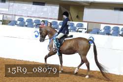 15R9_08079 thumbnail