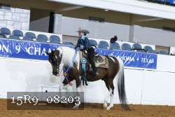 15R9_08203 thumbnail