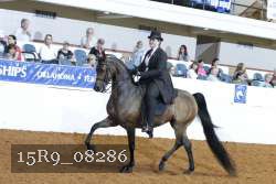 15R9_08286 thumbnail