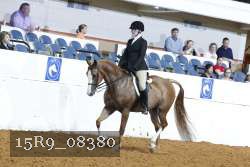 15R9_08380 thumbnail