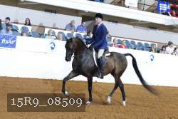 15R9_08509 thumbnail