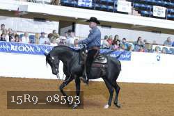 15R9_08593 thumbnail