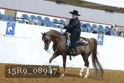 15R9_08947 thumbnail