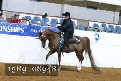 15R9_08948 thumbnail
