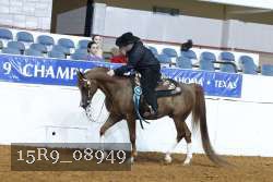 15R9_08949 thumbnail