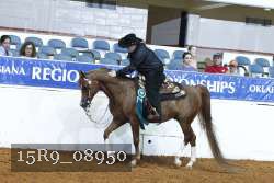 15R9_08950 thumbnail