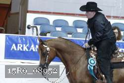 15R9_08952 thumbnail
