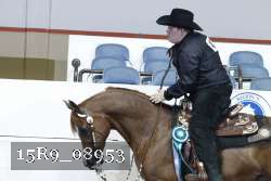 15R9_08953 thumbnail