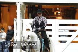 15R9_08960 thumbnail