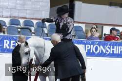 15R9_08961 thumbnail