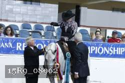 15R9_08962 thumbnail