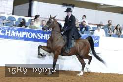 15R9_09012 thumbnail