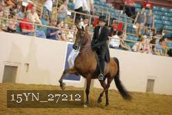 15YN_27212 thumbnail