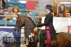 15YN_08813 thumbnail